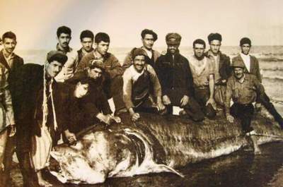 بازگشایی موزه ملی خاویار ایران در نوروز