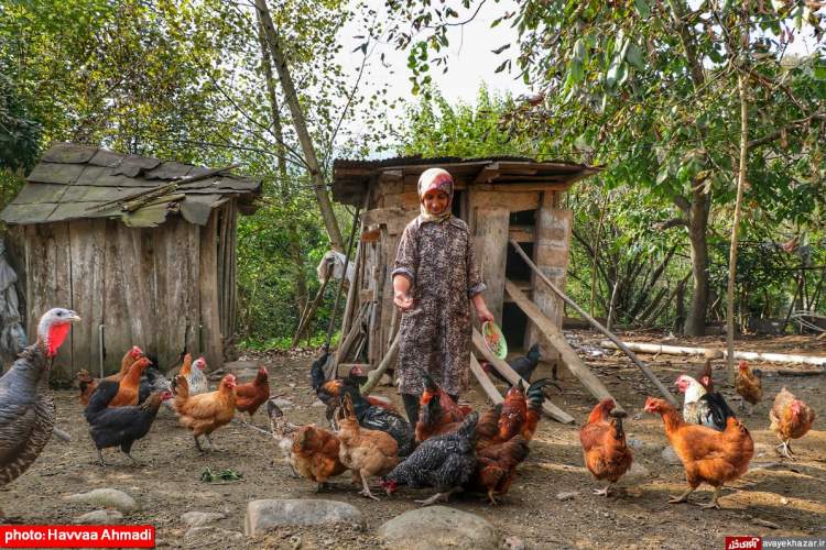 فراخوان ثبت نام بهترین روستاهای گردشگری ۲۰۲۲